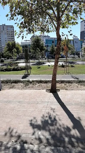 10. Noter, Diyarbakır – Noter fotoğrafı 2