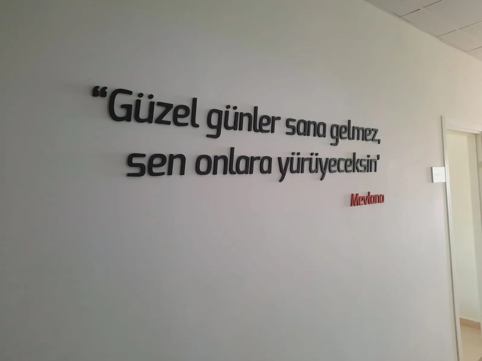 Murat Eğitim Kurumları / Açı Eğitim Kurumları ( Kpss / Yks / Lgs ) 2