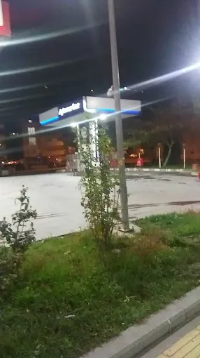 Çiçek Petrol Ltd Şti, Tokat – Benzin İstasyonu fotoğrafı 2