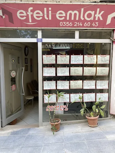 Efeli Emlak Ve İnşaa