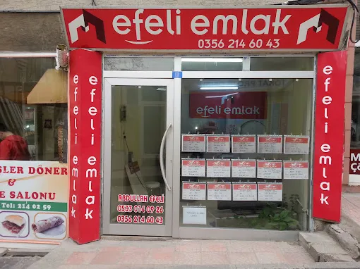 Efeli Emlak Ve İnşaa, Tokat – Emlak Bürosu fotoğrafı 2