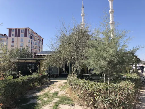 Mevlana Taksi