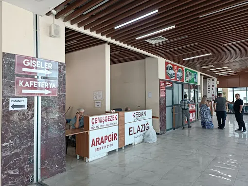 Mini Terminal, Elazığ – Ulaşım Hizmeti fotoğrafı 2