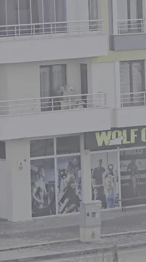 Wolf Gym Spor Salonu